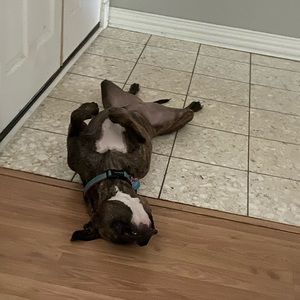 Meet your Posher, Michelle